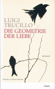 Debütroman von Luigi Trucillo